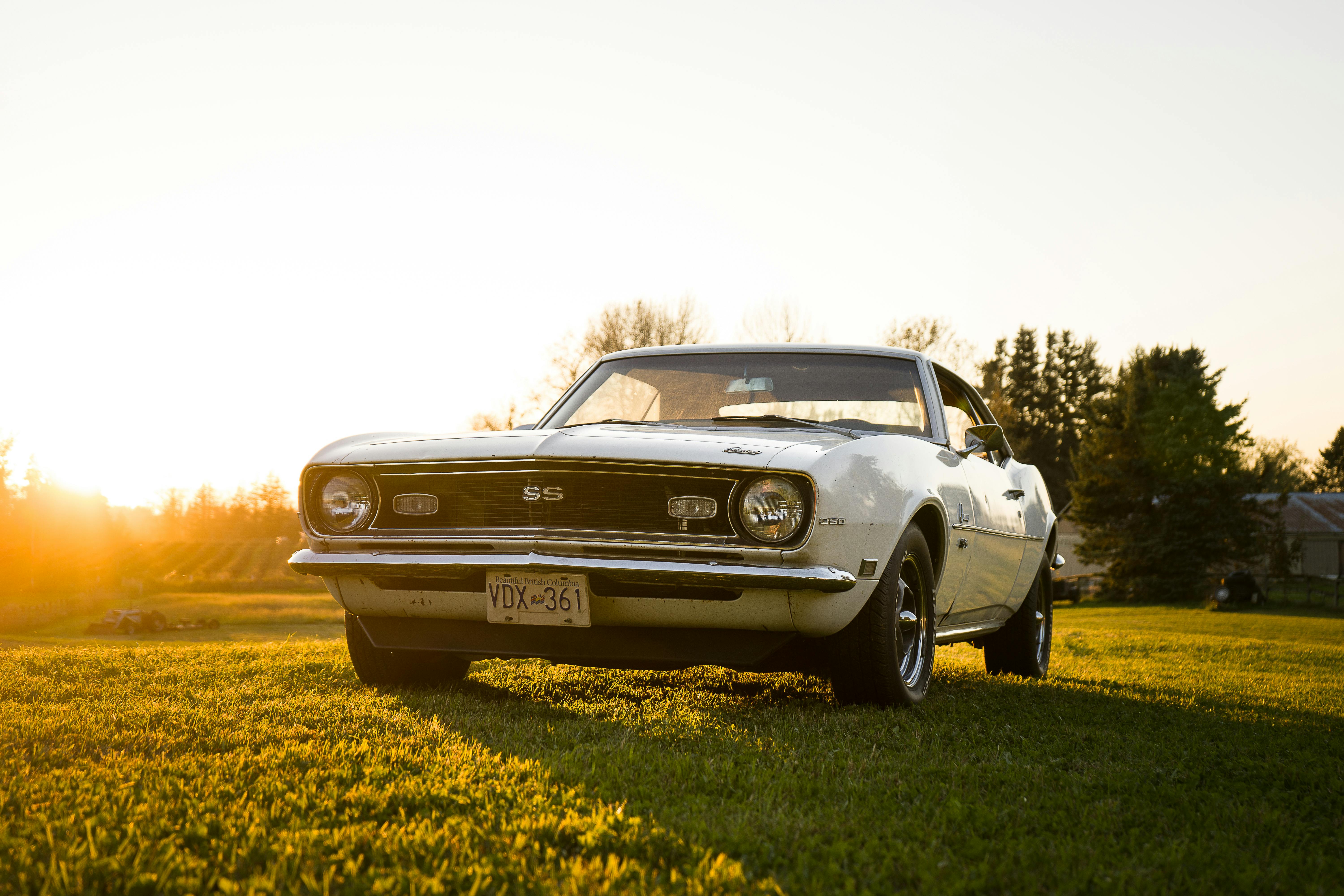 Classic_Camaro