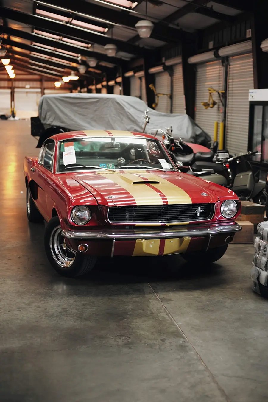 ford-shelby-international-car-shipping (1)